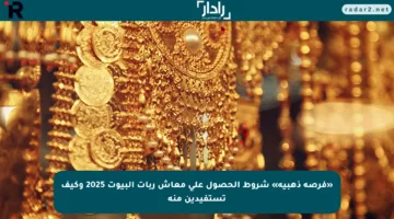 «فرصة ذهبية» شروط الحصول على معاش ربات البيوت 2025 وكيف تستفيدين منه